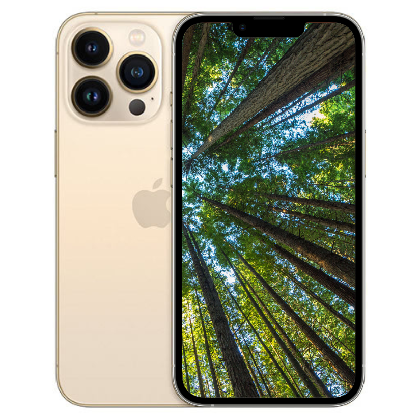 iPhone 13Pro Max 128GB ゴールド美品 美品]Apple iPhone 13 Pro Max