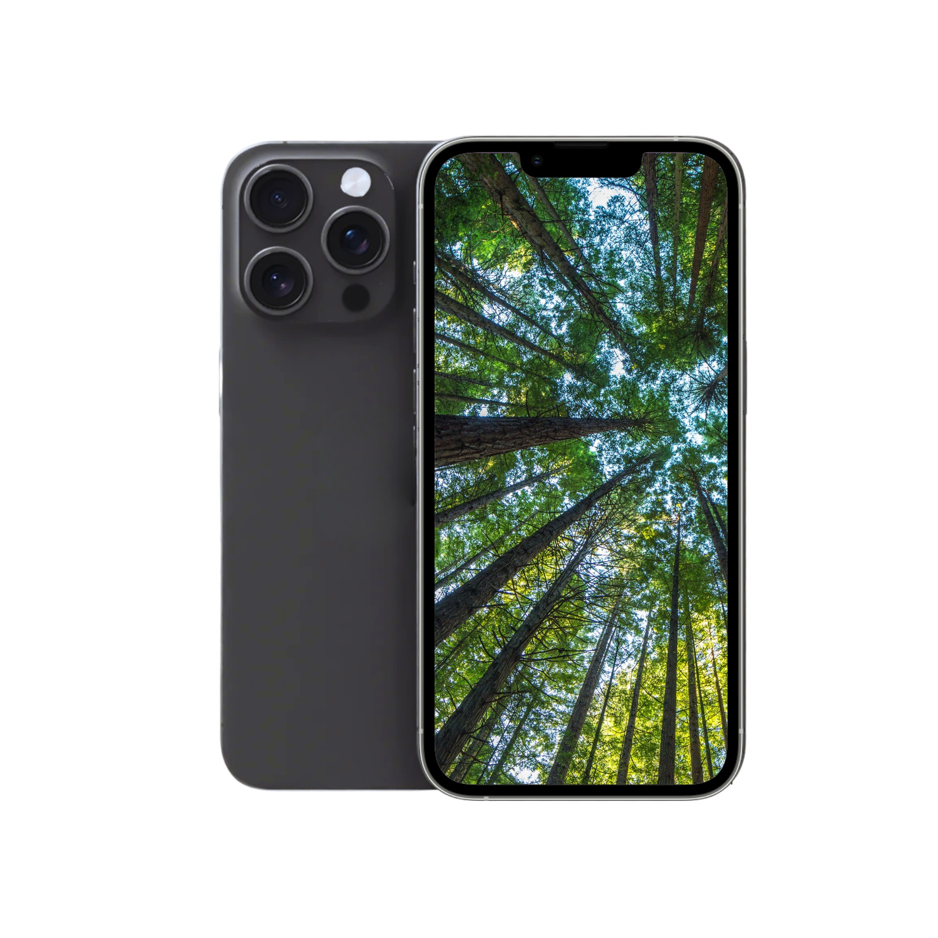 iPhone 13 Pro Max 256GB Graphite Very Good Pre-Owned - Techlord